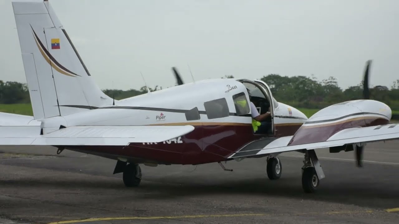 Piper Seneca