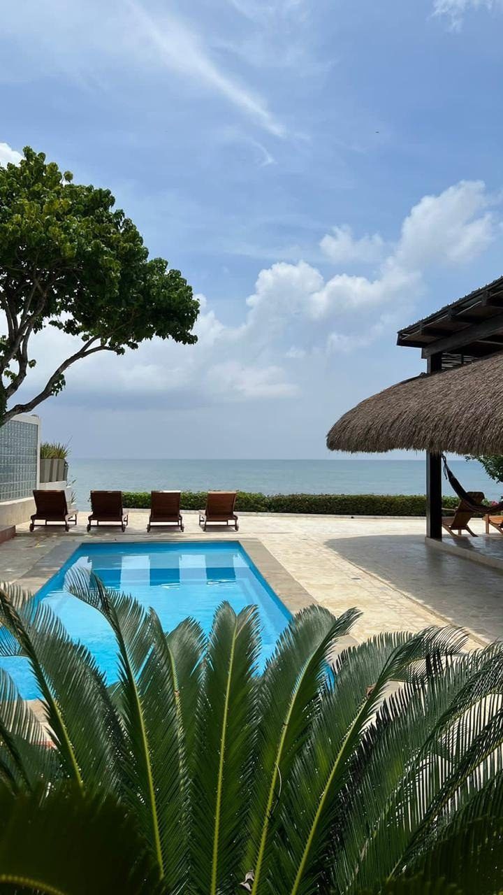 Pool and palm with ocean horizon at House Playa villa, Cartagena