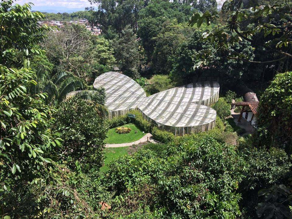 UTP Botanical Garden — Pereira