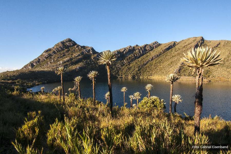 Chingaza National Park — Bogota