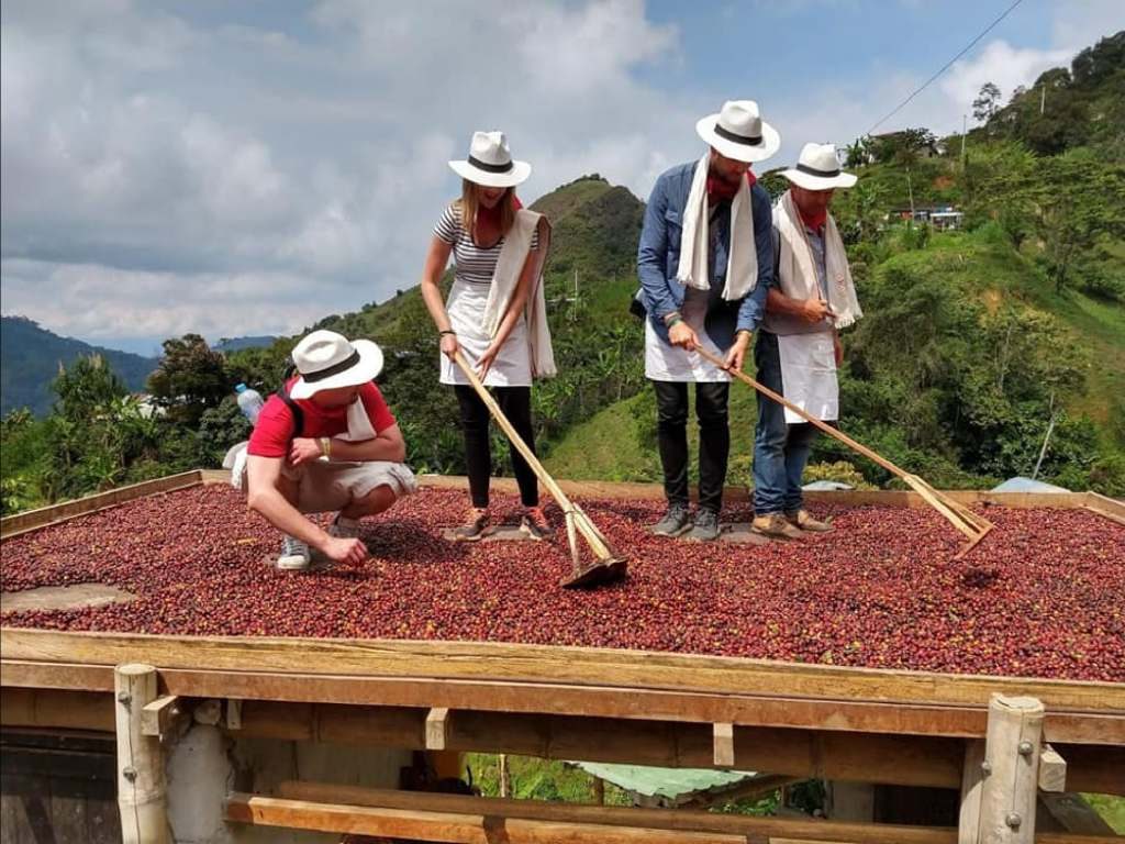 Private Coffee Hacienda Day — Pereira