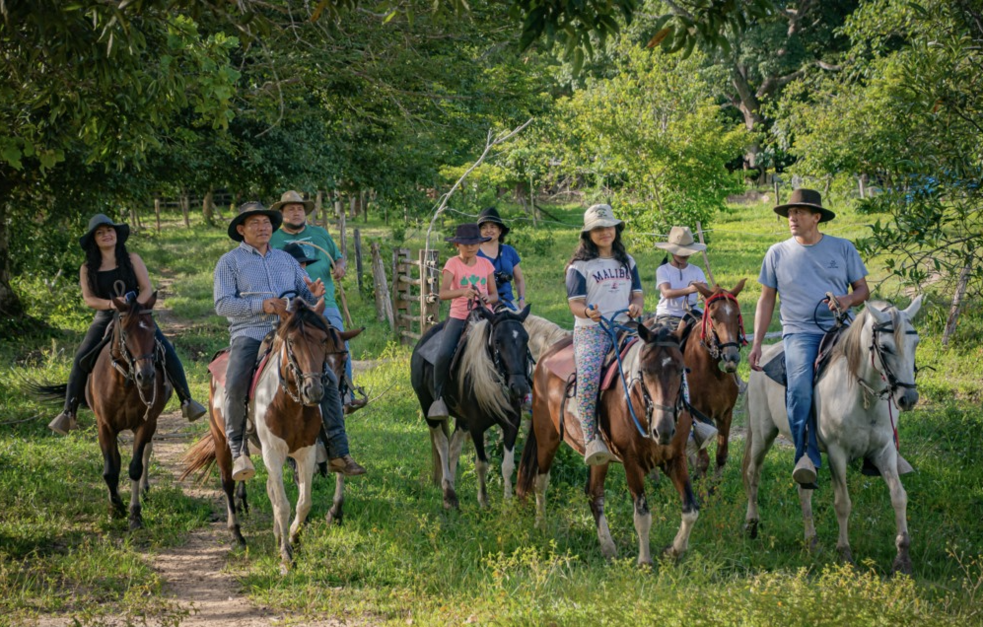 Horseback to Mirador del Toro — Medellin