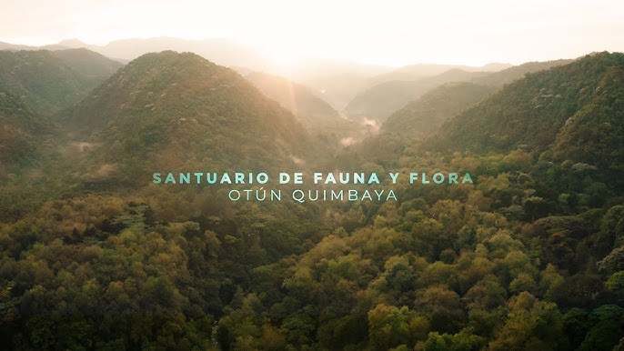 Otún Quimbaya Bird Sanctuary — Pereira
