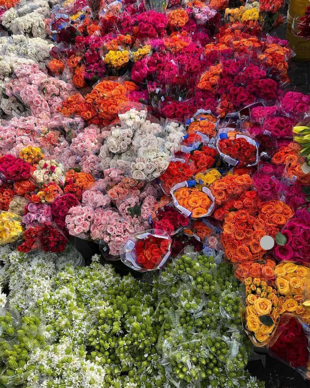 Paloquemao Market Tour — Bogota