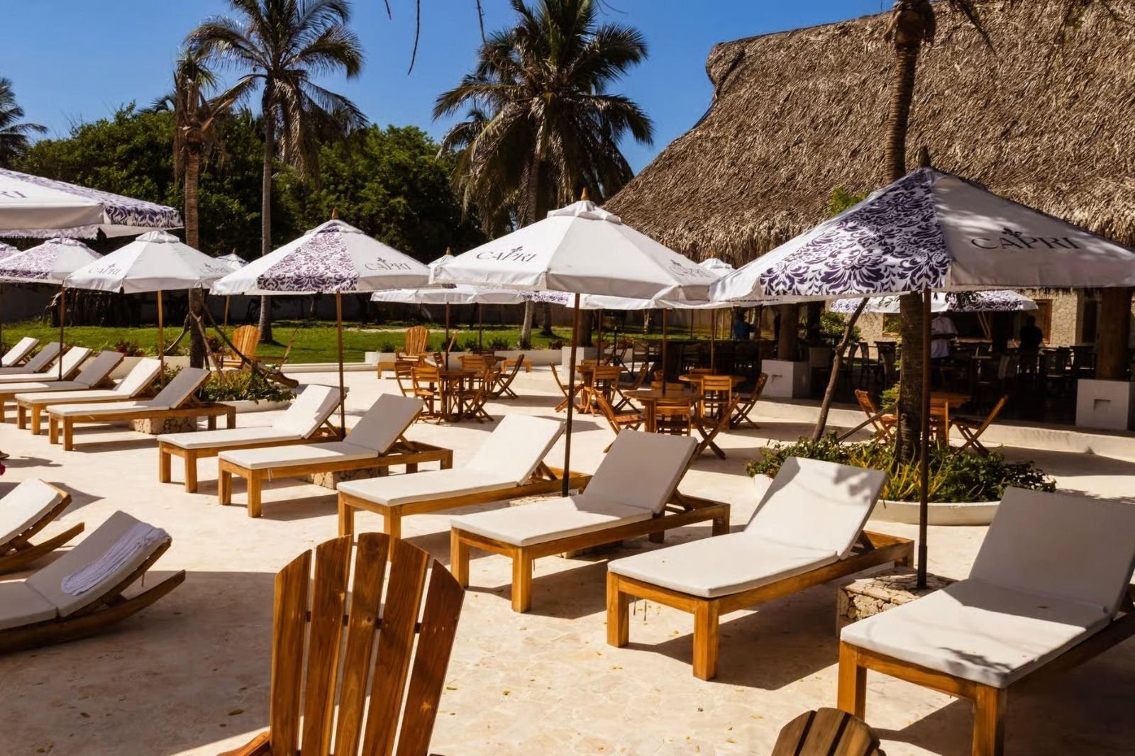 White sun loungers and Capri umbrellas under palm trees at Capri Beach Club, Rosario Islands near Cartagena