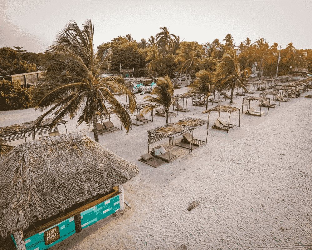 Aerial view of the beach at Fénix Beach, Tierra Bomba