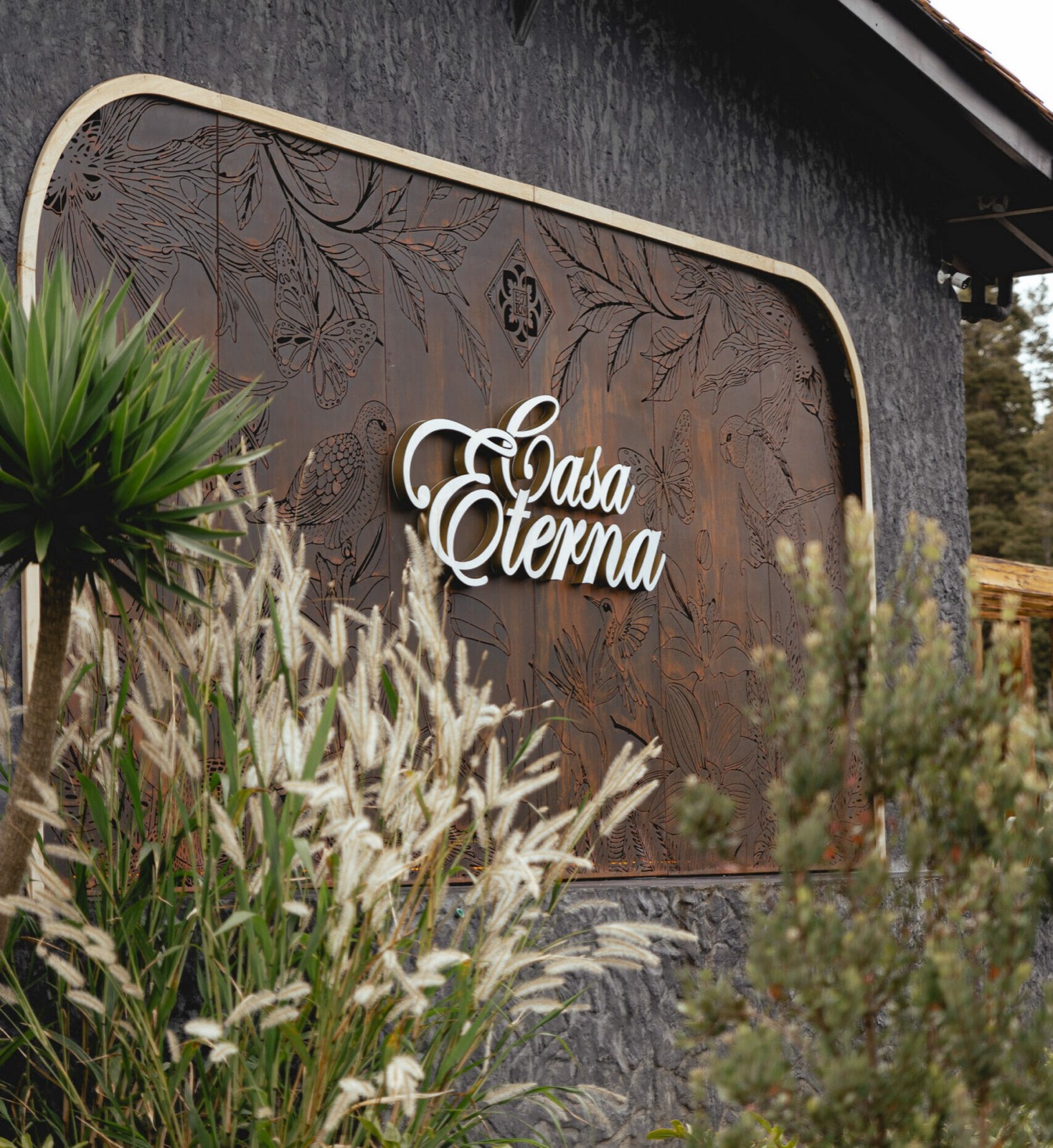 Casa Eterna, photo 3