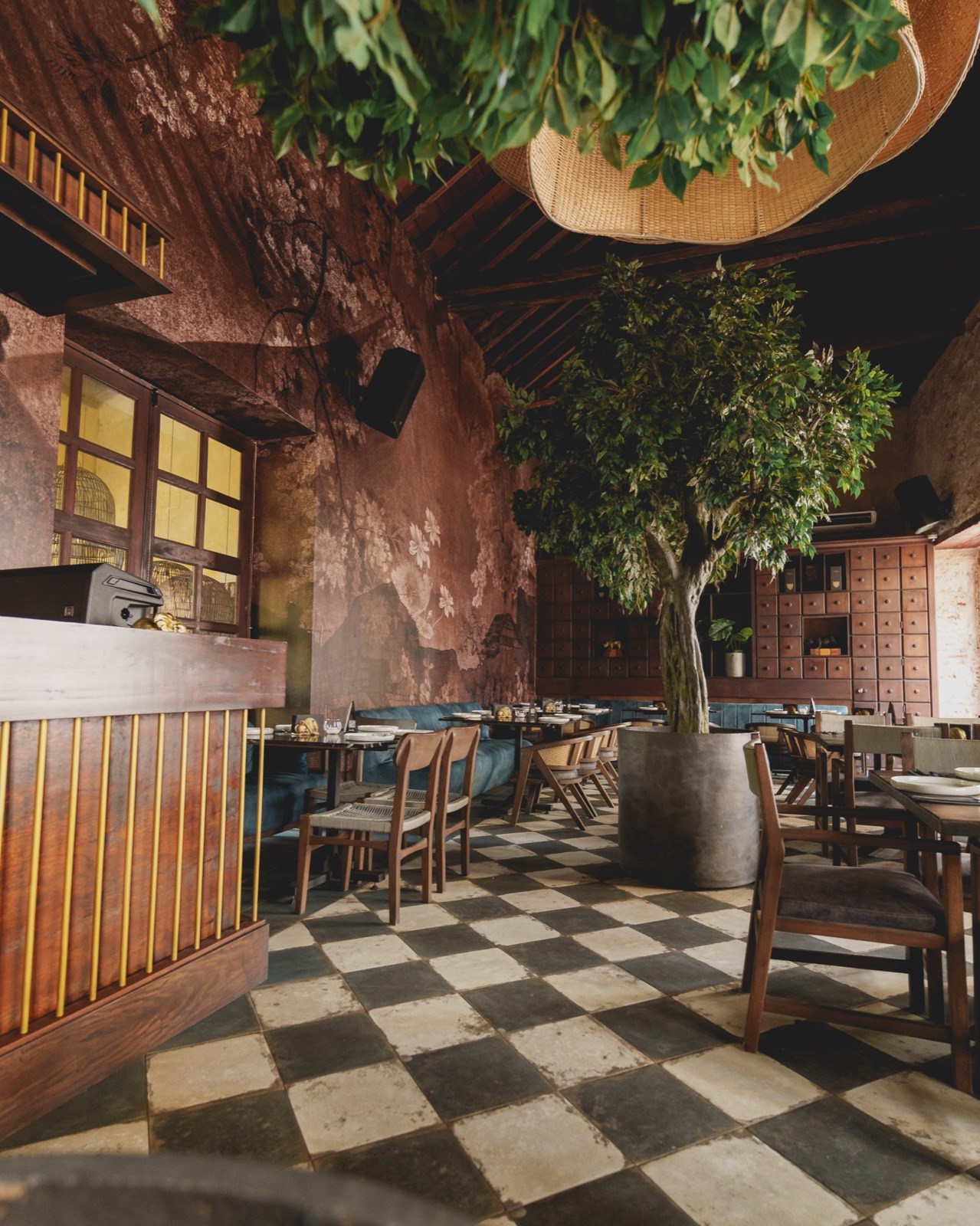 Niku, Cartagena