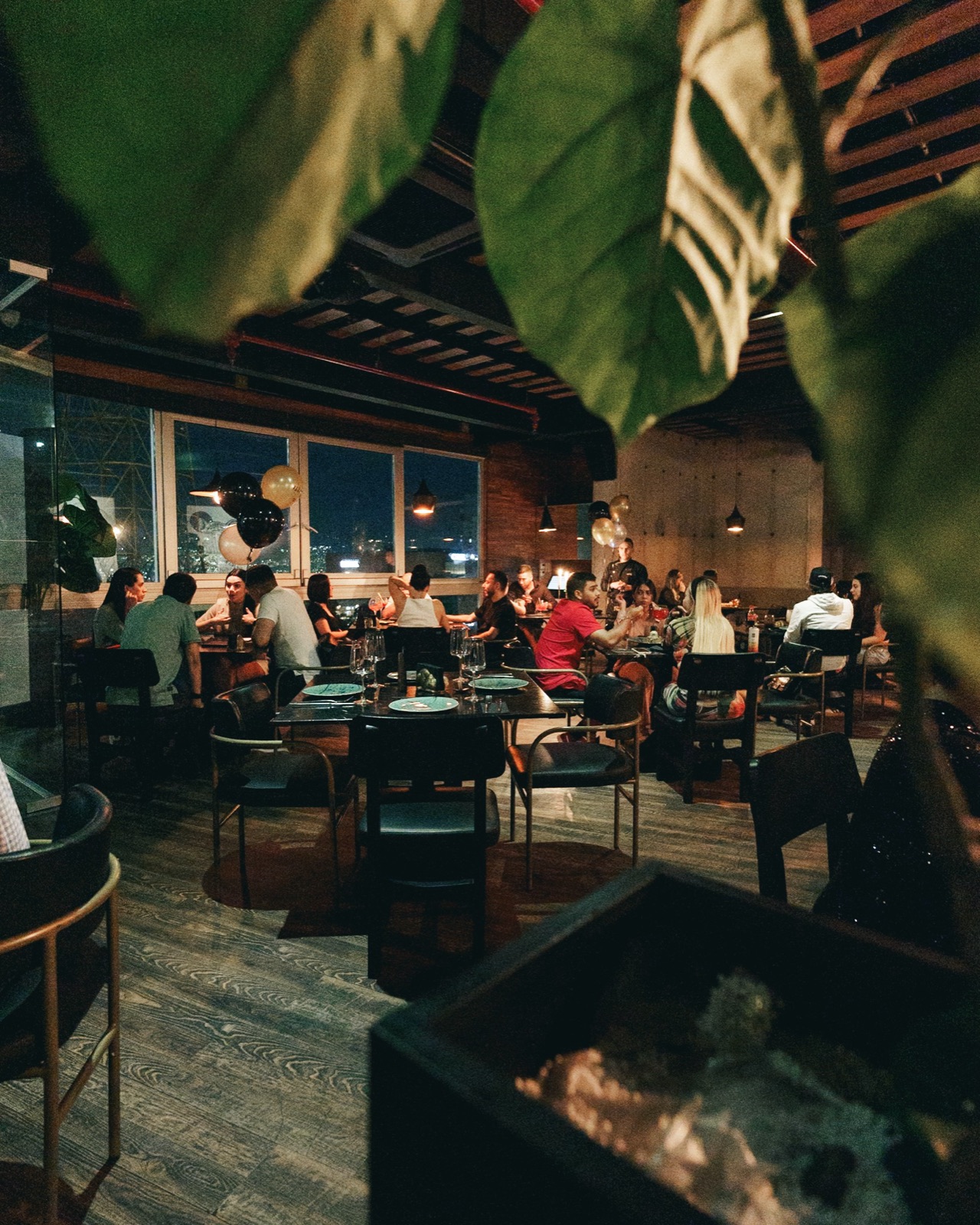 Niku, photo 5
